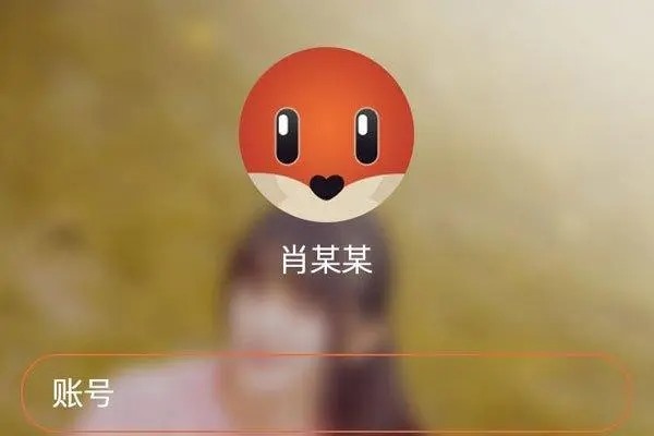 跨国聊天交友app?